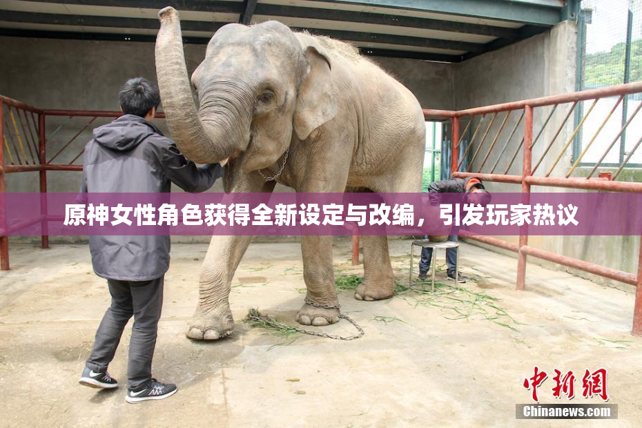 原神女性角色获得全新设定与改编，引发玩家热议