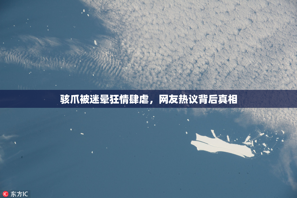 骇爪被迷晕狂情肆虐，网友热议背后真相