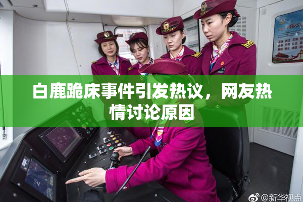 白鹿跪床事件引发热议，网友热情讨论原因