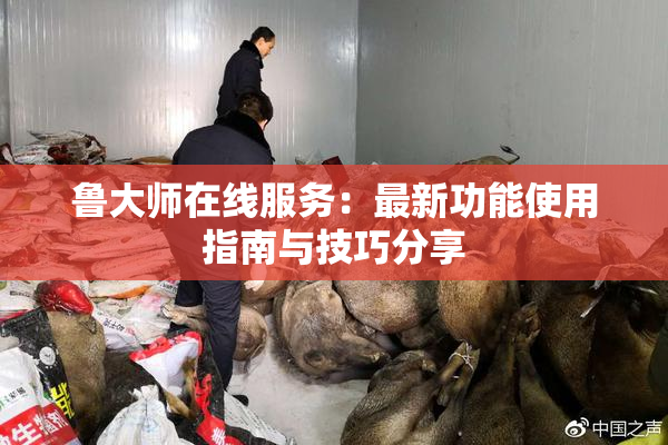 鲁大师在线服务：最新功能使用指南与技巧分享
