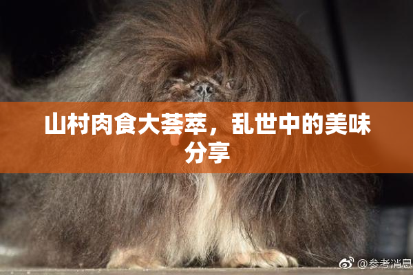 山村肉食大荟萃，乱世中的美味分享
