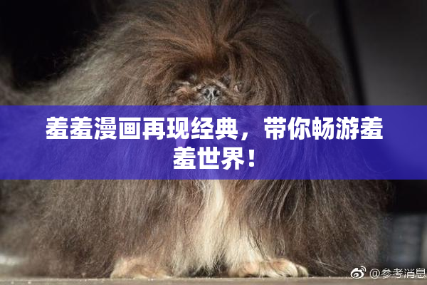 羞羞漫画再现经典，带你畅游羞羞世界！