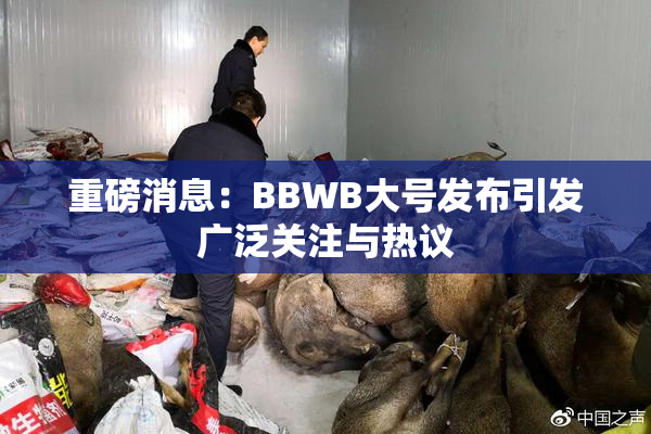 重磅消息：BBWB大号发布引发广泛关注与热议