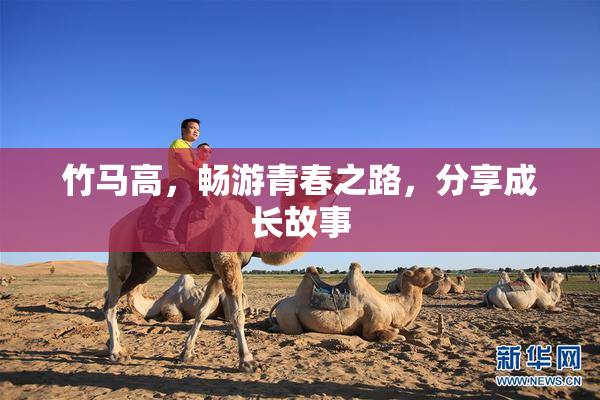 竹马高，畅游青春之路，分享成长故事