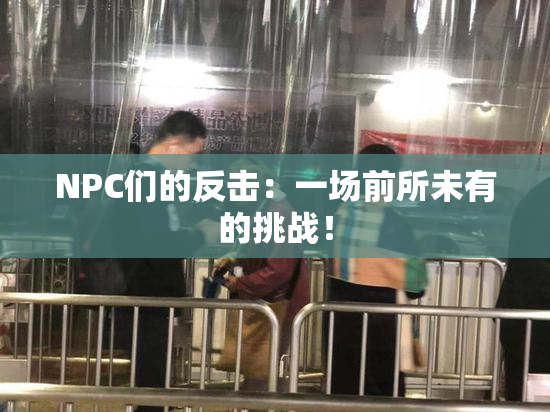 NPC们的反击：一场前所未有的挑战！