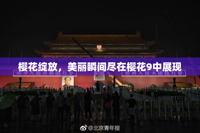 樱花绽放，美丽瞬间尽在樱花9中展现