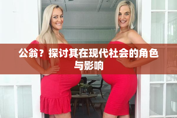 公翁？探讨其在现代社会的角色与影响