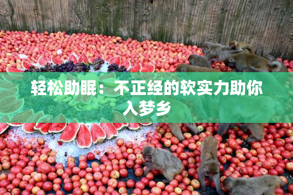 轻松助眠：不正经的软实力助你入梦乡