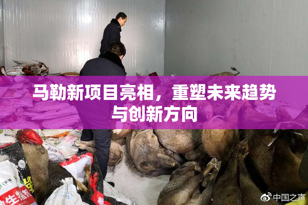 马勒新项目亮相，重塑未来趋势与创新方向