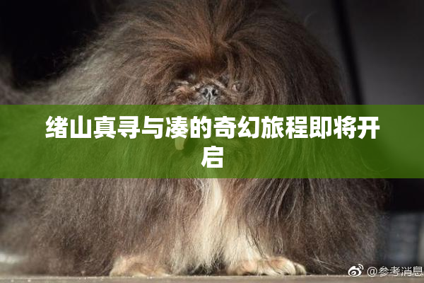 绪山真寻与凑的奇幻旅程即将开启