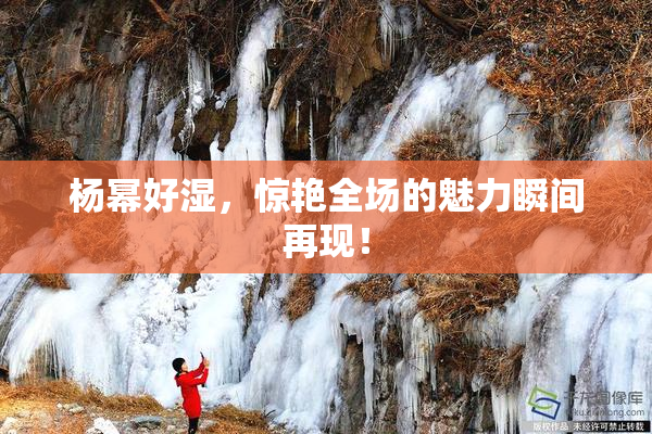 杨幂好湿，惊艳全场的魅力瞬间再现！
