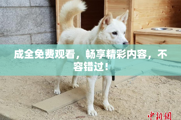 成全免费观看，畅享精彩内容，不容错过！