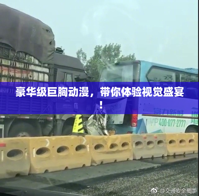 豪华级巨胸动漫，带你体验视觉盛宴！