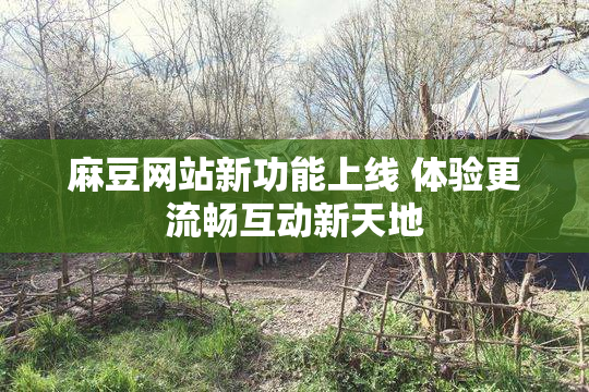 麻豆网站新功能上线 体验更流畅互动新天地