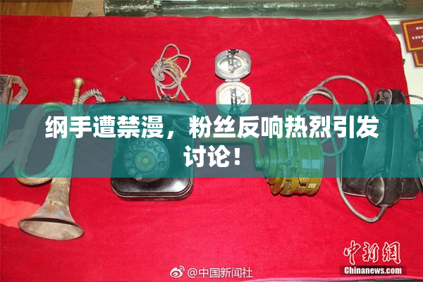 纲手遭禁漫，粉丝反响热烈引发讨论！