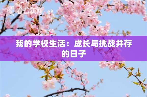 我的学校生活：成长与挑战并存的日子