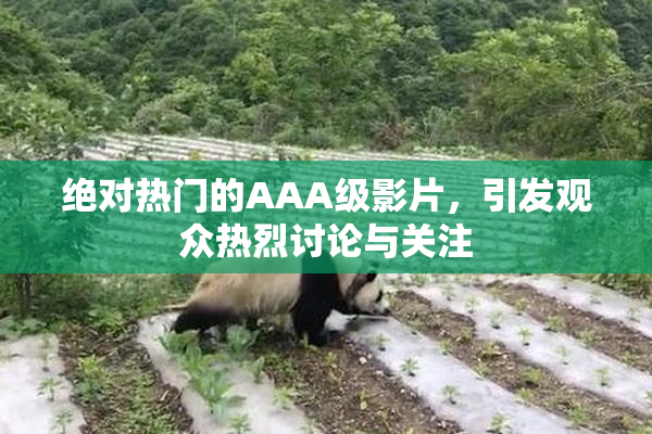 绝对热门的AAA级影片，引发观众热烈讨论与关注
