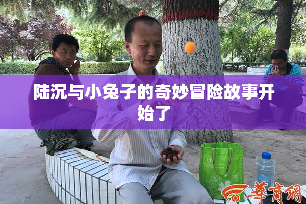 陆沉与小兔子的奇妙冒险故事开始了