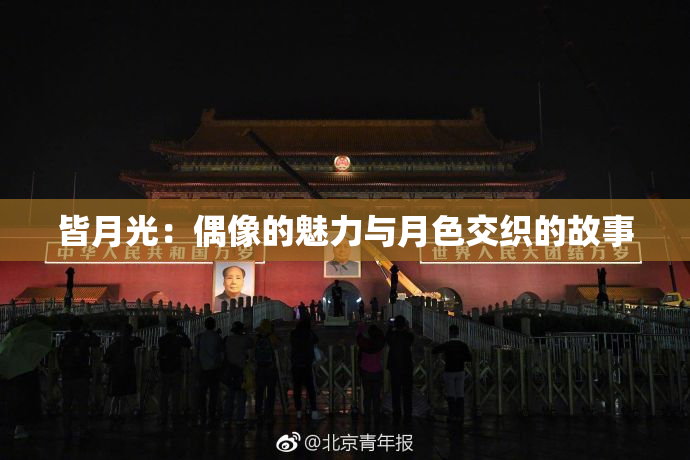 皆月光：偶像的魅力与月色交织的故事