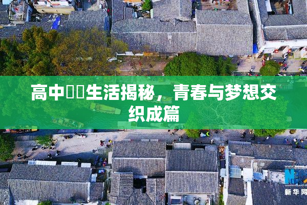 高中妺妺生活揭秘，青春与梦想交织成篇