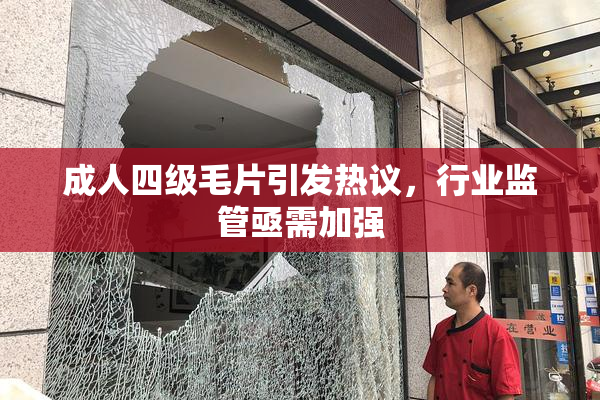 成人四级毛片引发热议，行业监管亟需加强