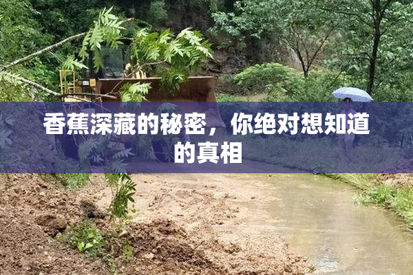 香蕉深藏的秘密，你绝对想知道的真相