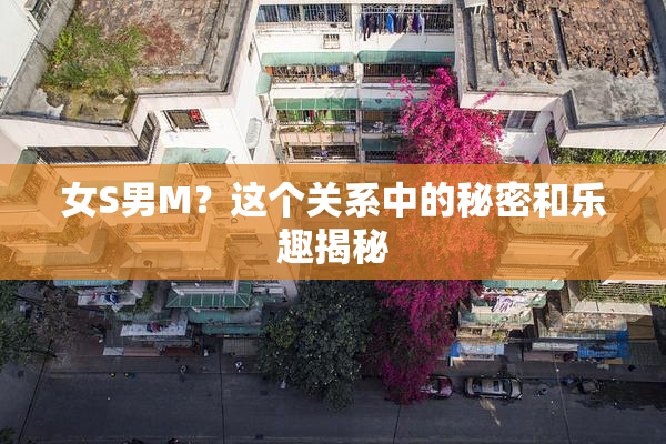 女S男M？这个关系中的秘密和乐趣揭秘