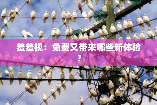 羞羞视：免费又带来哪些新体验？