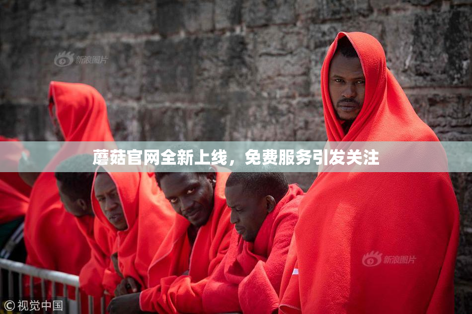 蘑菇官网全新上线，免费服务引发关注