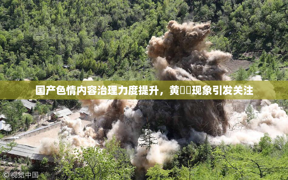 国产色情内容治理力度提升，黄❌‌现象引发关注