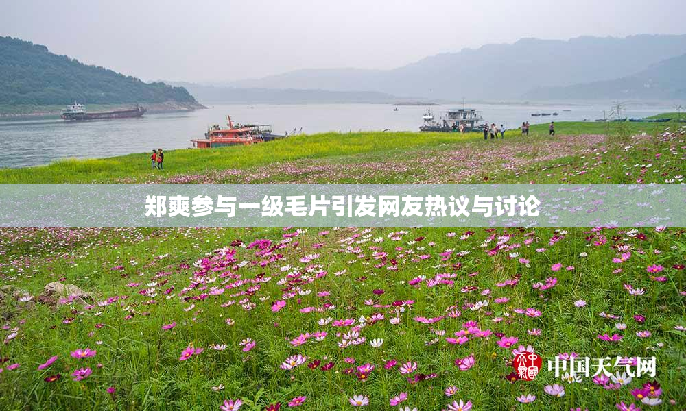 郑爽参与一级毛片引发网友热议与讨论