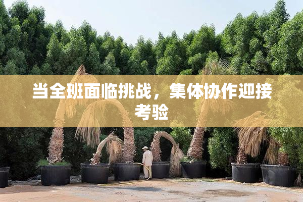 当全班面临挑战，集体协作迎接考验