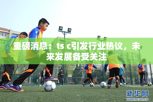重磅消息：ts c引发行业热议，未来发展备受关注