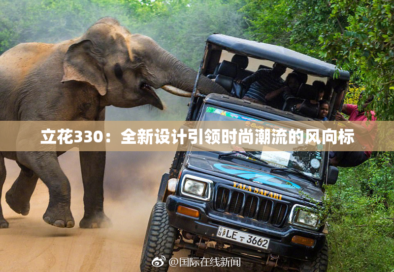 立花330：全新设计引领时尚潮流的风向标