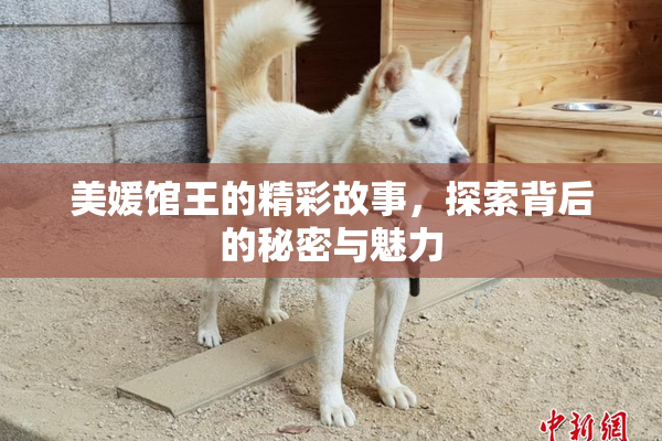 美媛馆王的精彩故事，探索背后的秘密与魅力