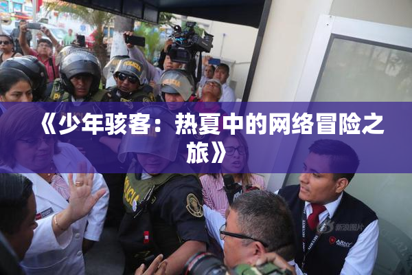 《少年骇客：热夏中的网络冒险之旅》