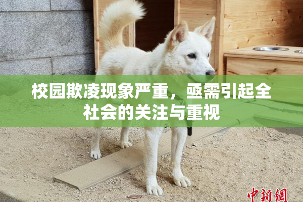 校园欺凌现象严重，亟需引起全社会的关注与重视