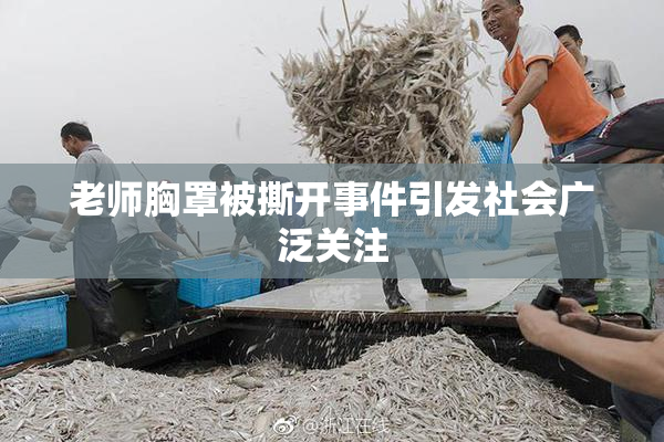 老师胸罩被撕开事件引发社会广泛关注