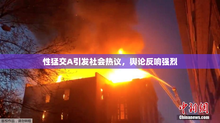 性猛交A引发社会热议，舆论反响强烈