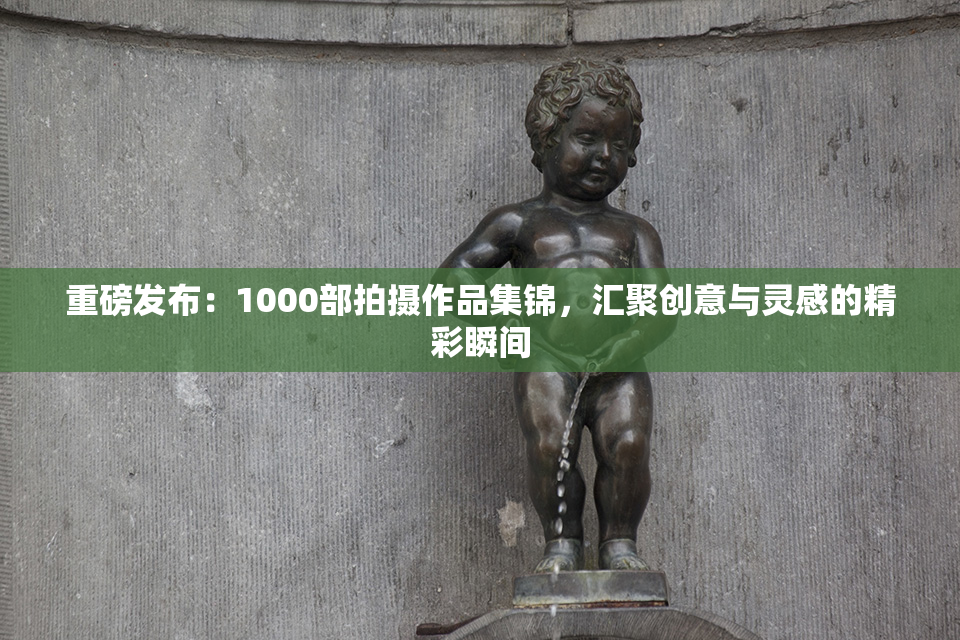 重磅发布：1000部拍摄作品集锦，汇聚创意与灵感的精彩瞬间