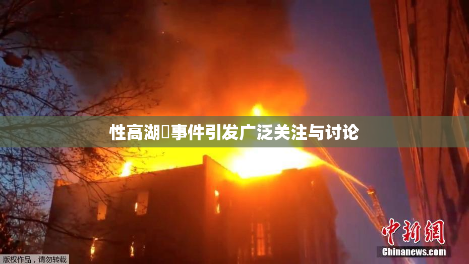 性高湖婬事件引发广泛关注与讨论