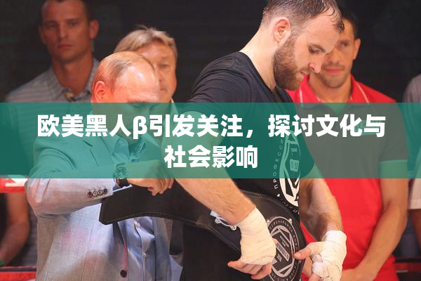 欧美黑人β引发关注，探讨文化与社会影响