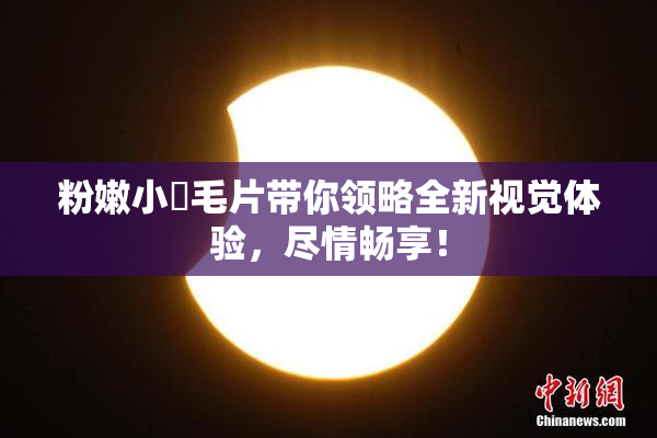 粉嫩小泬毛片带你领略全新视觉体验，尽情畅享！