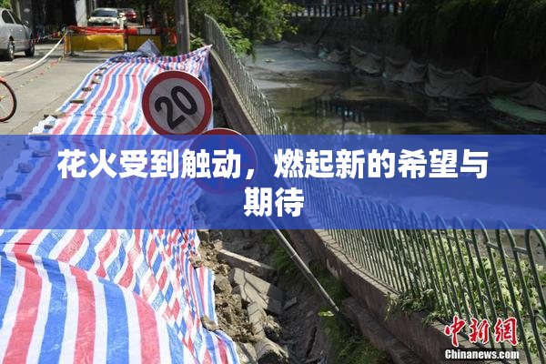 花火受到触动，燃起新的希望与期待