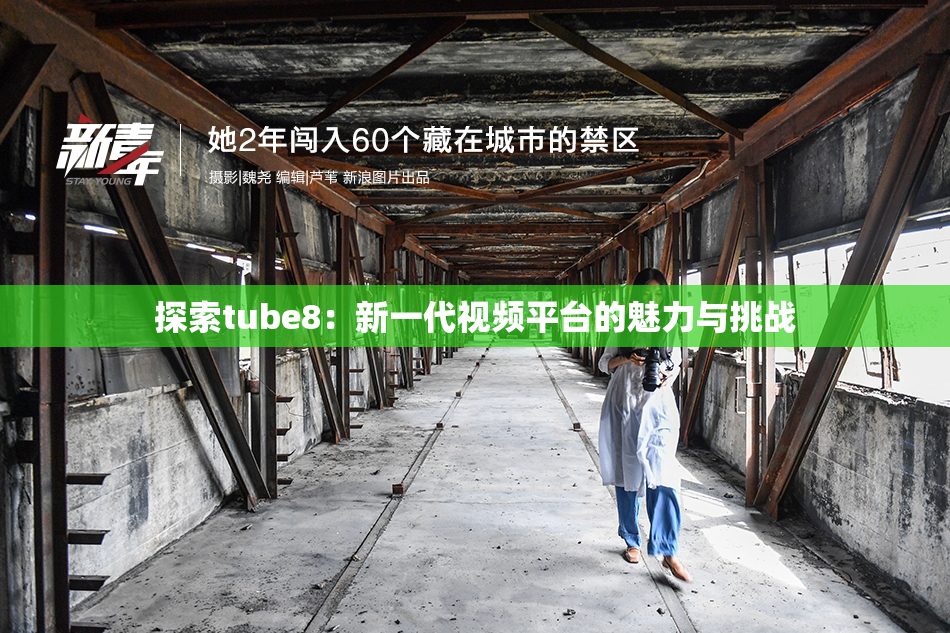 探索tube8：新一代视频平台的魅力与挑战