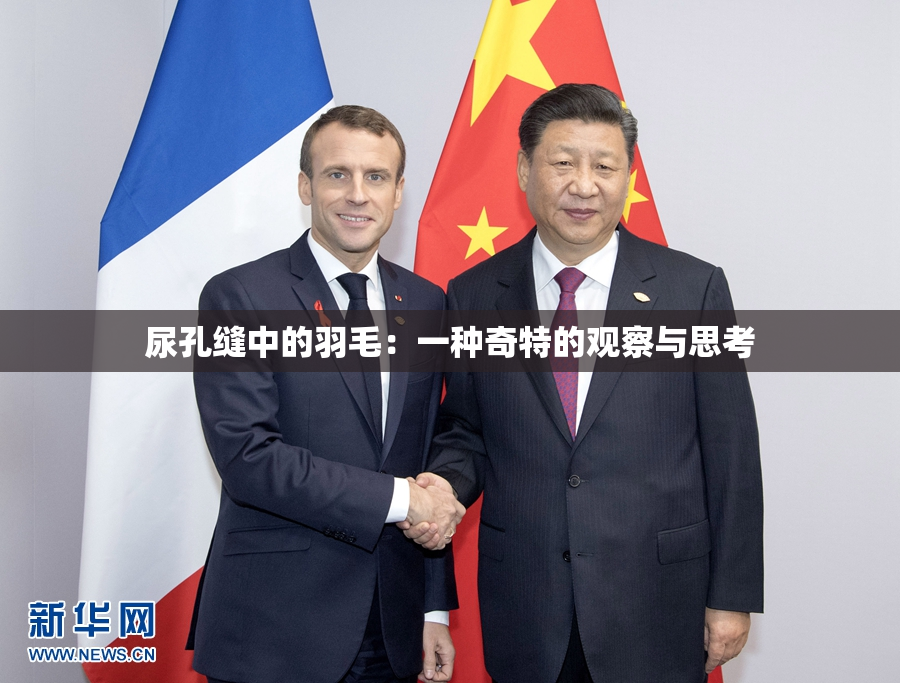 尿孔缝中的羽毛：一种奇特的观察与思考
