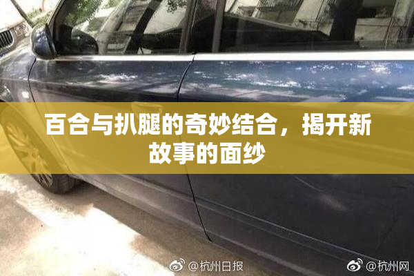 百合与扒腿的奇妙结合，揭开新故事的面纱