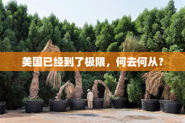 美国已经到了极限，何去何从？