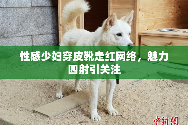 性感少妇穿皮靴走红网络，魅力四射引关注