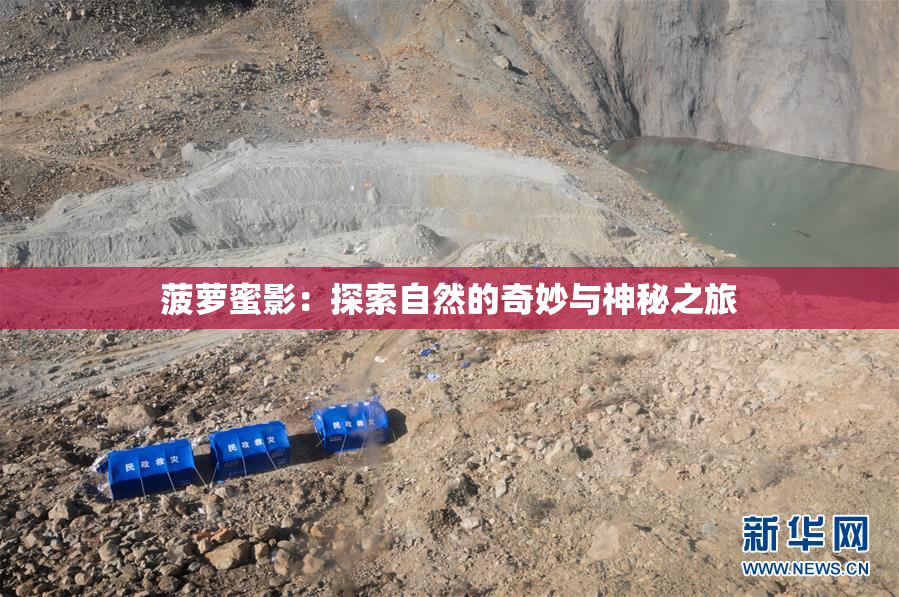 菠萝蜜影：探索自然的奇妙与神秘之旅